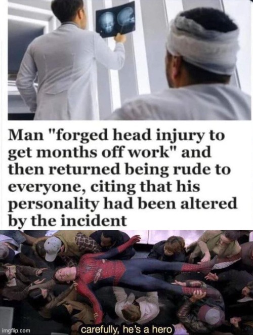 Sounds like something I would do | image tagged in carefully he's a hero,hero,funny,memes | made w/ Imgflip meme maker