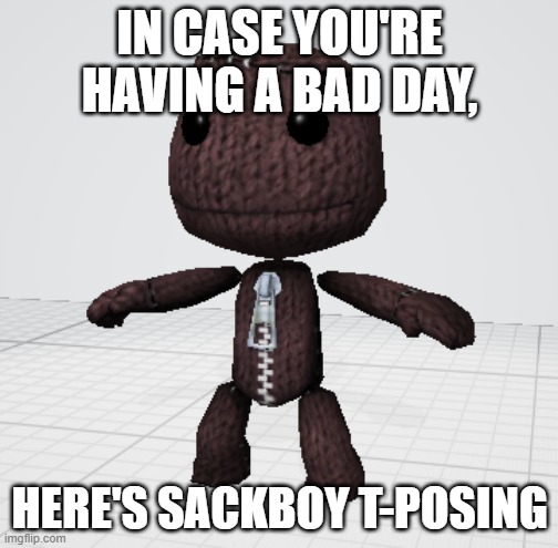 T | IN CASE YOU'RE HAVING A BAD DAY, HERE'S SACKBOY T-POSING | image tagged in sackboy t-pose | made w/ Imgflip meme maker