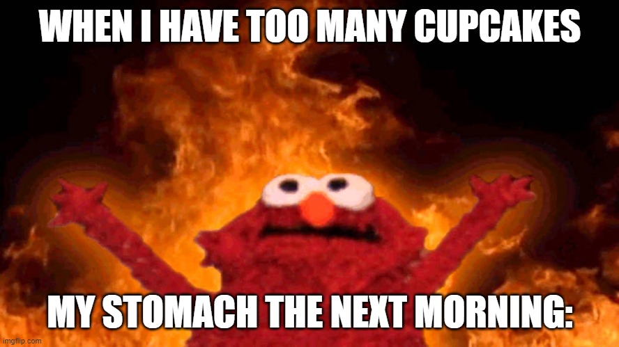 Cupcakes are deadly!!!! | WHEN I HAVE TOO MANY CUPCAKES; MY STOMACH THE NEXT MORNING: | image tagged in elmo fire,cupcakes,deadly,nausea,sickness,vomit | made w/ Imgflip meme maker