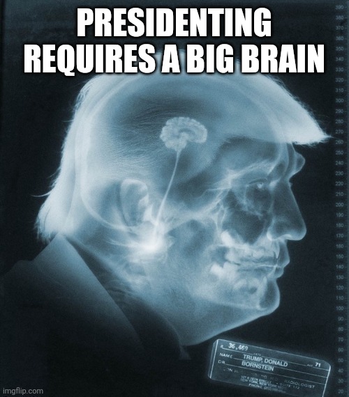 Stable genius | PRESIDENTING REQUIRES A BIG BRAIN | image tagged in trump's brain | made w/ Imgflip meme maker