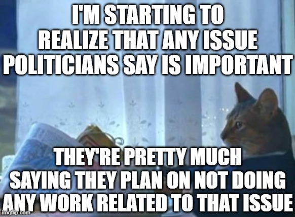 Cat newspaper | I'M STARTING TO REALIZE THAT ANY ISSUE POLITICIANS SAY IS IMPORTANT; THEY'RE PRETTY MUCH SAYING THEY PLAN ON NOT DOING ANY WORK RELATED TO THAT ISSUE | image tagged in cat newspaper | made w/ Imgflip meme maker