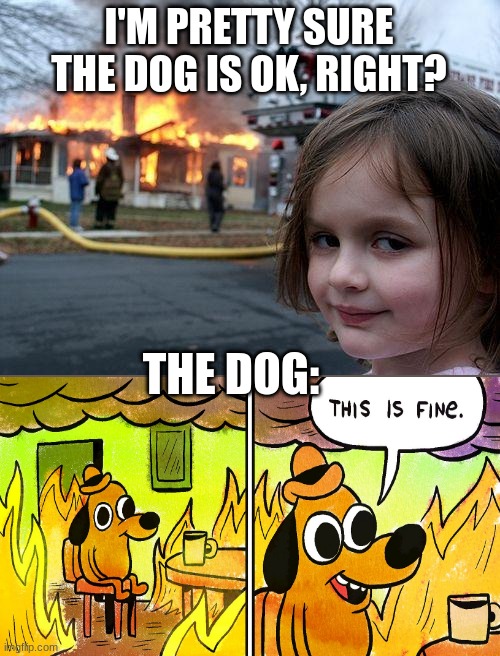 Yeah, at this point he's dead... | I'M PRETTY SURE THE DOG IS OK, RIGHT? THE DOG: | image tagged in memes,disaster girl | made w/ Imgflip meme maker