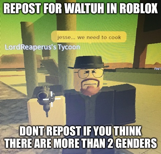 Jesse we need to cook | REPOST FOR WALTUH IN ROBLOX; DONT REPOST IF YOU THINK THERE ARE MORE THAN 2 GENDERS | image tagged in jesse we need to cook | made w/ Imgflip meme maker