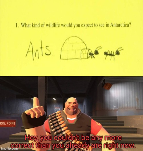 Yes, ants | image tagged in hey you couldn't be any more correct than you already are right,ants,antarctica,memes,funny test answers,genius | made w/ Imgflip meme maker