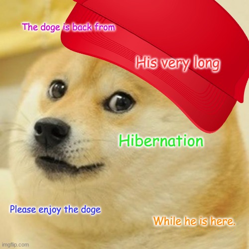 He is Back! | The doge is back from; His very long; Hibernation; Please enjoy the doge; While he is here. | image tagged in doge | made w/ Imgflip meme maker