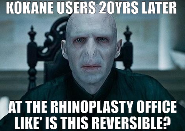 EVERYONE COULD USE A NOSE JOB | KOKANE USERS 20YRS LATER; AT THE RHINOPLASTY OFFICE LIKE' IS THIS REVERSIBLE? | image tagged in lord voldemort,meme | made w/ Imgflip meme maker