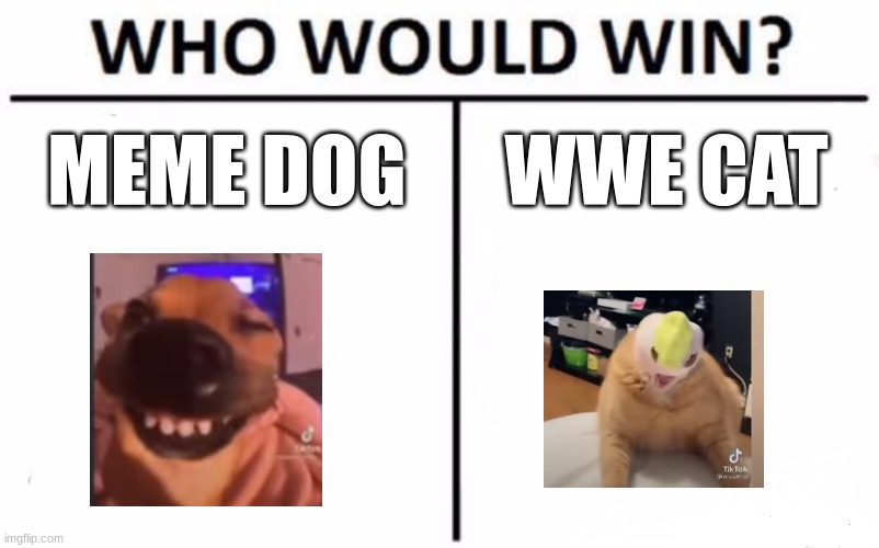 Who Would Win? Meme | MEME DOG; WWE CAT | image tagged in memes,who would win | made w/ Imgflip meme maker