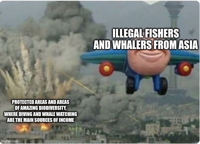 I have a lot of reasons to hate China, they made TikTok and some of the people do this crap | ILLEGAL FISHERS AND WHALERS FROM ASIA; PROTECTED AREAS AND AREAS OF AMAZING BIODIVERSITY, WHERE DIVING AND WHALE WATCHING ARE THE MAIN SOURCES OF INCOME | image tagged in flying away from chaos,scuba diving | made w/ Imgflip meme maker