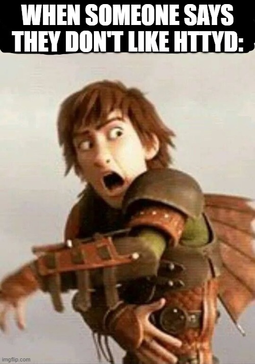 How To Train Your Dragon is the best | WHEN SOMEONE SAYS THEY DON'T LIKE HTTYD: | image tagged in httyd,how to train your dragon | made w/ Imgflip meme maker