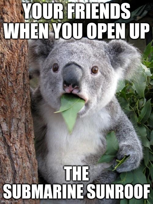 what, i was hot! the water will cool us. oh wait holy crap | YOUR FRIENDS WHEN YOU OPEN UP; THE SUBMARINE SUNROOF | image tagged in memes,surprised koala | made w/ Imgflip meme maker