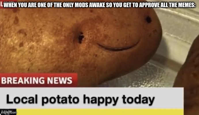 Local Potato happy today | WHEN YOU ARE ONE OF THE ONLY MODS AWAKE SO YOU GET TO APPROVE ALL THE MEMES: | image tagged in local potato happy today | made w/ Imgflip meme maker