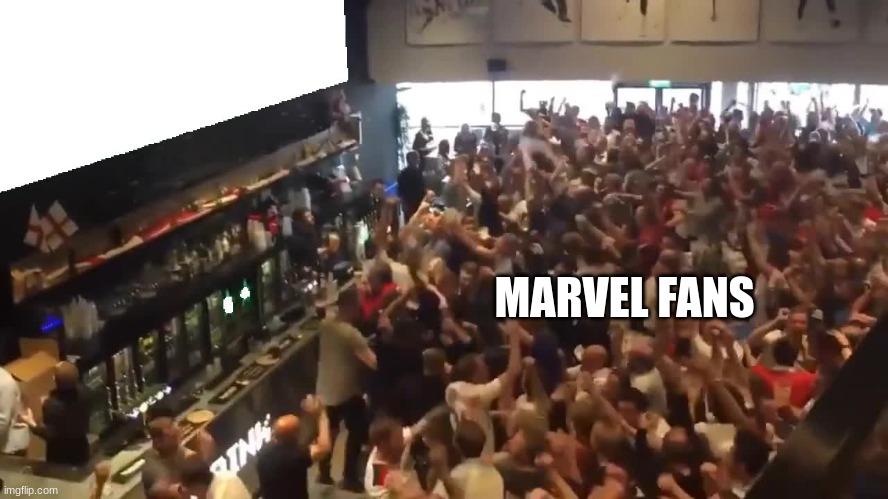 Crowd cheering | MARVEL FANS | image tagged in crowd cheering | made w/ Imgflip meme maker