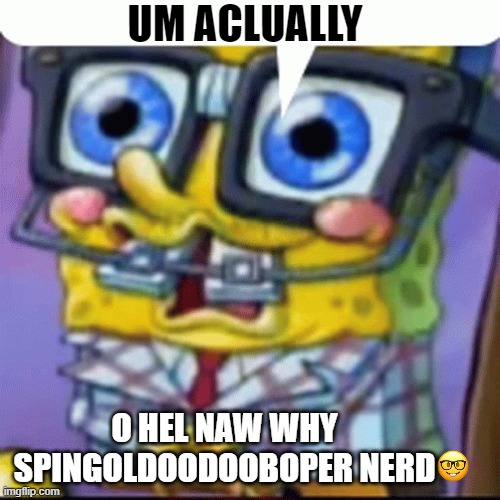 nerd spunch bop | UM ACLUALLY; O HEL NAW WHY SPINGOLDOODOOBOPER NERD | image tagged in sping | made w/ Imgflip meme maker