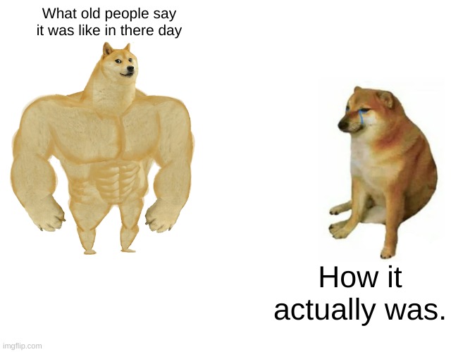 Back in my day... | What old people say it was like in there day; How it actually was. | image tagged in memes,buff doge vs cheems | made w/ Imgflip meme maker