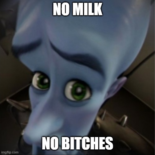 Megamind peeking | NO MILK; NO BITCHES | image tagged in megamind peeking | made w/ Imgflip meme maker