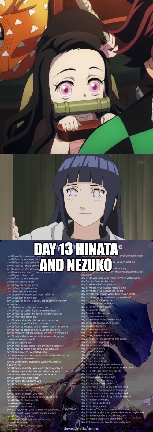 DAY 13 HINATA AND NEZUKO | image tagged in 100 day anime challenge | made w/ Imgflip meme maker