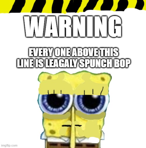 WARNING | WARNING; EVERY ONE ABOVE THIS LINE IS LEAGALY SPUNCH BOP | image tagged in warning | made w/ Imgflip meme maker