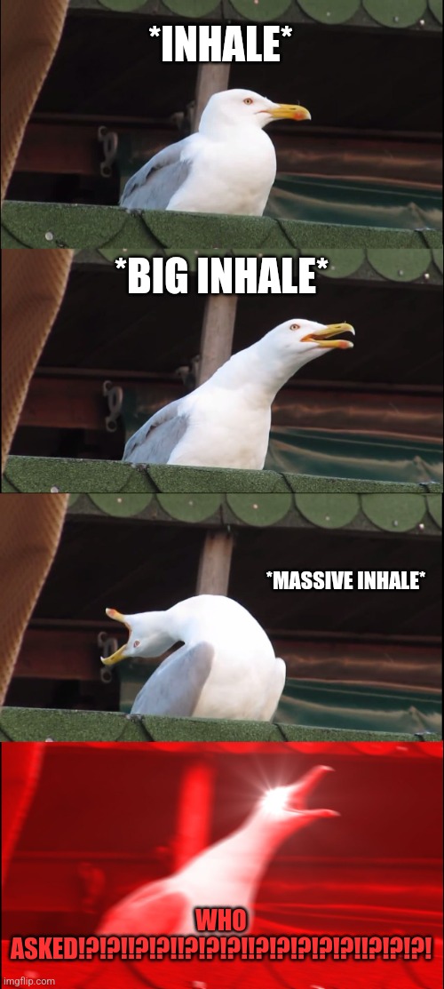Inhaling Seagull Meme | *INHALE* *BIG INHALE* *MASSIVE INHALE* WHO ASKED!?!?!!?!?!!?!?!?!!?!?!?!?!?!!?!?!?! | image tagged in memes,inhaling seagull | made w/ Imgflip meme maker