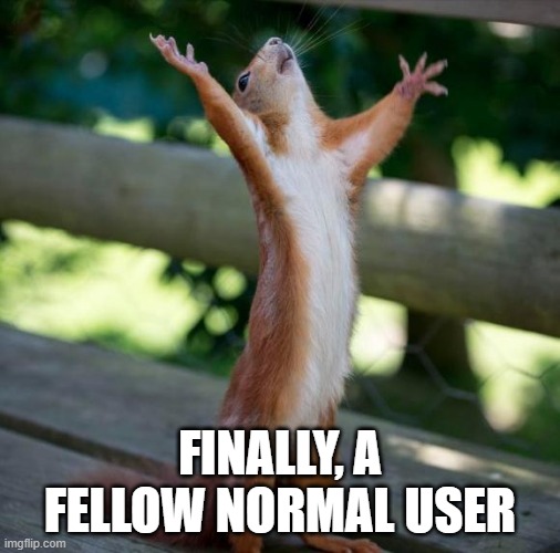finally | FINALLY, A FELLOW NORMAL USER | image tagged in finally | made w/ Imgflip meme maker