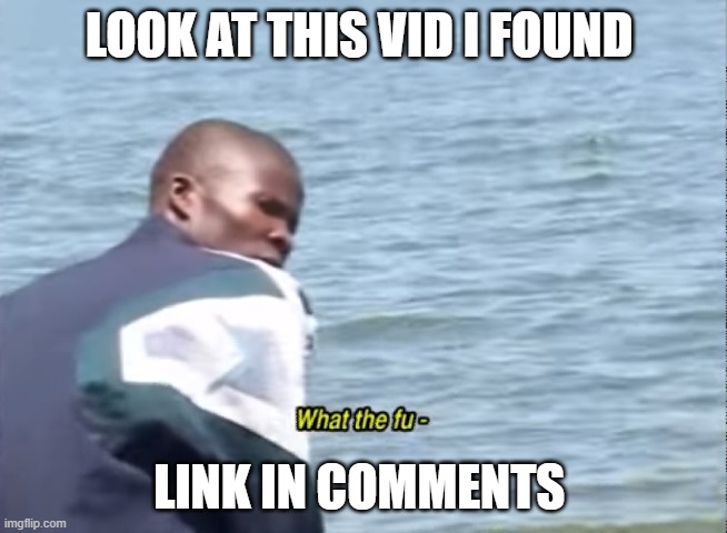 What the fu- | LOOK AT THIS VID I FOUND; LINK IN COMMENTS | image tagged in what the fu- | made w/ Imgflip meme maker