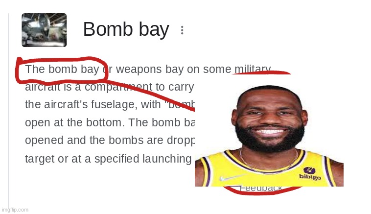 the bomb bay | image tagged in lebron james | made w/ Imgflip meme maker