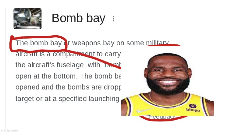 The Bomb Bay Imgflip