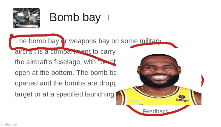 the bomb bay | image tagged in lebron james | made w/ Imgflip meme maker