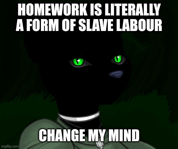 My new panther fursona | HOMEWORK IS LITERALLY A FORM OF SLAVE LABOUR; CHANGE MY MIND | image tagged in my new panther fursona | made w/ Imgflip meme maker
