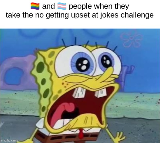 Spongebob crying/screaming | 🏳️‍🌈 and 🏳️‍⚧️ people when they take the no getting upset at jokes challenge | image tagged in spongebob crying/screaming | made w/ Imgflip meme maker