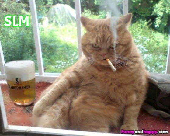Smoking cat | SLM | image tagged in smoking cat,slm,slavic,blm | made w/ Imgflip meme maker