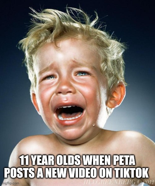 crying child | 11 YEAR OLDS WHEN PETA POSTS A NEW VIDEO ON TIKTOK | image tagged in crying child | made w/ Imgflip meme maker