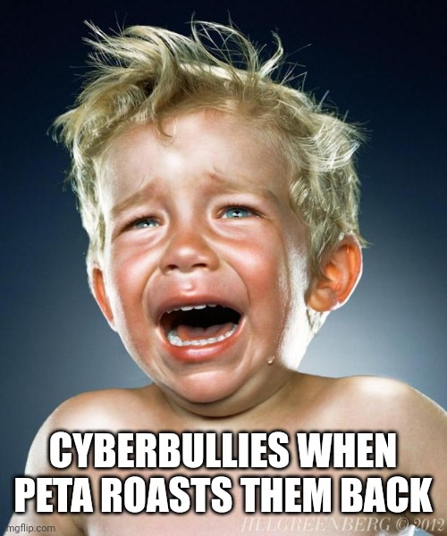 crying child | CYBERBULLIES WHEN PETA ROASTS THEM BACK | image tagged in crying child | made w/ Imgflip meme maker