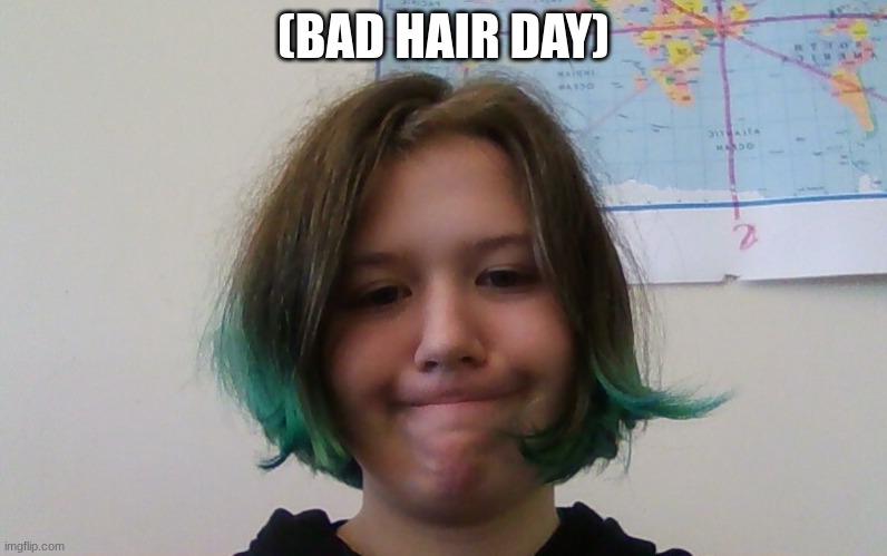 (BAD HAIR DAY) | made w/ Imgflip meme maker