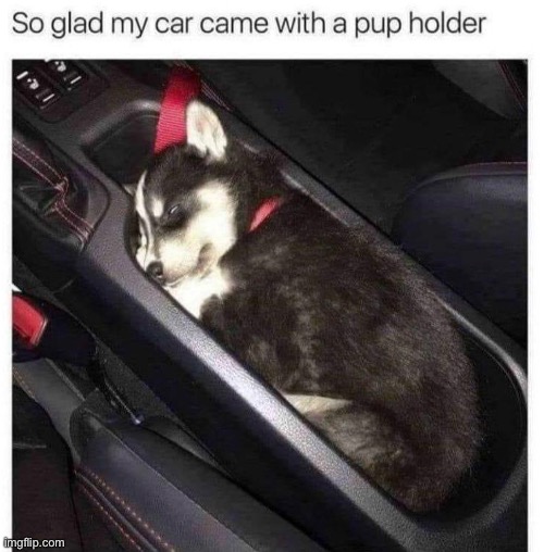 Pup Holder! | image tagged in memes,unfunny | made w/ Imgflip meme maker