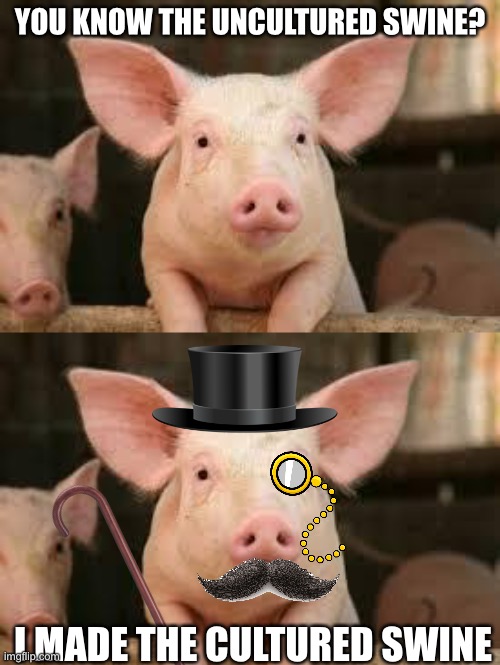 YOU KNOW THE UNCULTURED SWINE? I MADE THE CULTURED SWINE | image tagged in pig,uncultured,cultured,swine,funny,why is the fbi here | made w/ Imgflip meme maker