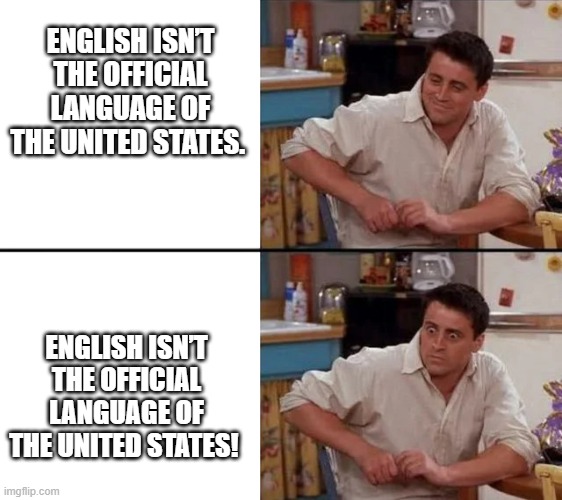 Surprised Joey | ENGLISH ISN’T THE OFFICIAL LANGUAGE OF THE UNITED STATES. ENGLISH ISN’T THE OFFICIAL LANGUAGE OF THE UNITED STATES! | image tagged in surprised joey | made w/ Imgflip meme maker