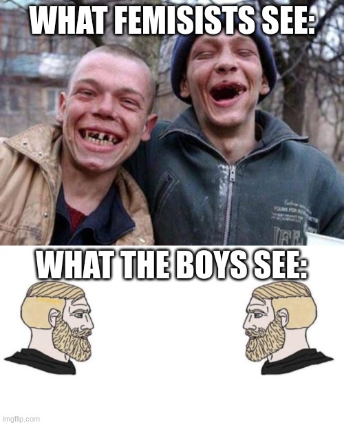 WHAT FEMISISTS SEE:; WHAT THE BOYS SEE: | image tagged in memes,ugly twins,chad we know | made w/ Imgflip meme maker