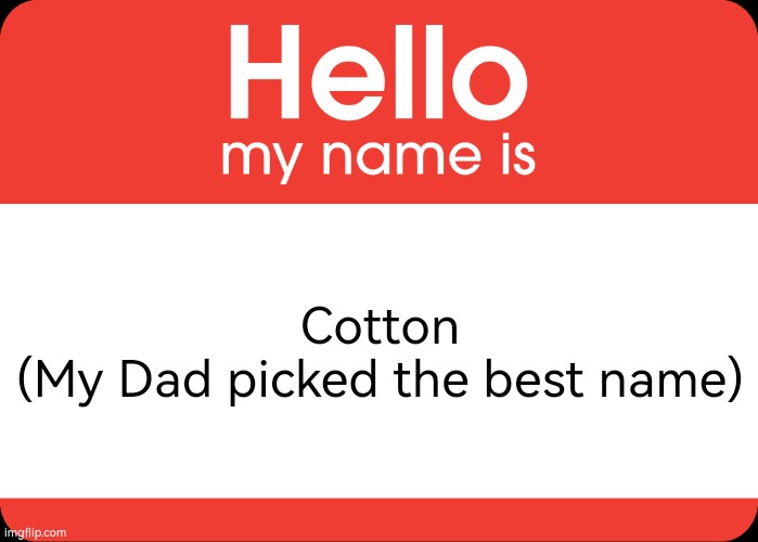 Hello My Name Is | Cotton


(My Dad picked the best name) | image tagged in hello my name is | made w/ Imgflip meme maker
