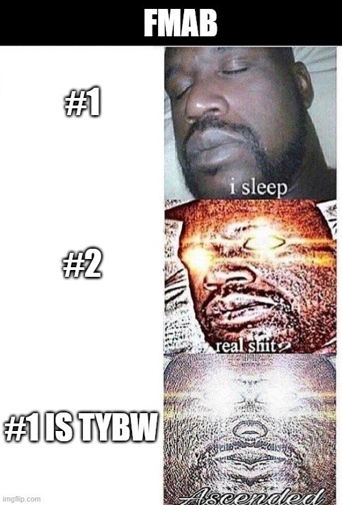 I sleep meme with ascended template | FMAB; #1; #2; #1 IS TYBW | image tagged in i sleep meme with ascended template | made w/ Imgflip meme maker