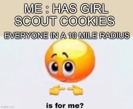 DO NOT BRING THIN MINTS TO SCHOOL | ME : HAS GIRL SCOUT COOKIES; EVERYONE IN A 10 MILE RADIUS | image tagged in is for me,thin mints | made w/ Imgflip meme maker