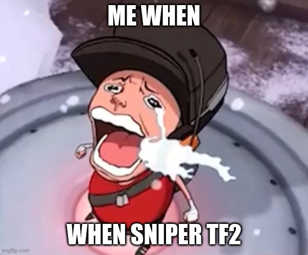 Me IRL Scout Tea of Forest Too | ME WHEN; WHEN SNIPER TF2 | image tagged in scout chopper cry | made w/ Imgflip meme maker