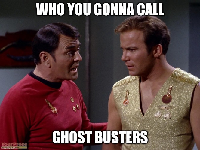 Mirror mirror Scotty or Kirk | WHO YOU GONNA CALL; GHOST BUSTERS | image tagged in mirror mirror scotty or kirk | made w/ Imgflip meme maker
