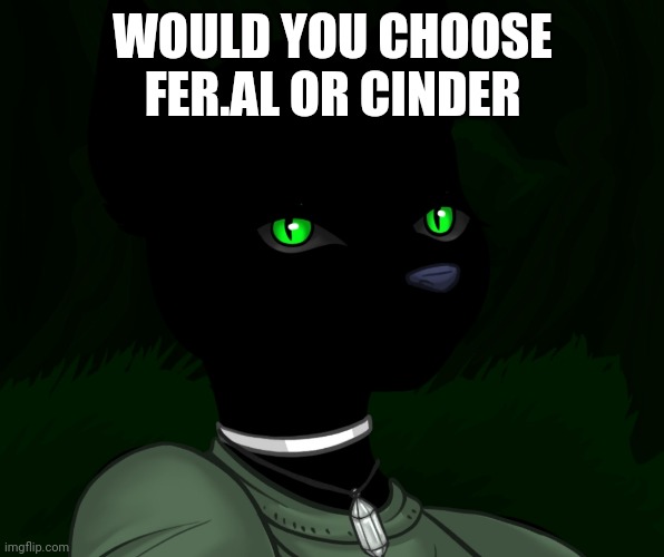 Old drama go brrrrrrrttt | WOULD YOU CHOOSE FER.AL OR CINDER | image tagged in my new panther fursona | made w/ Imgflip meme maker