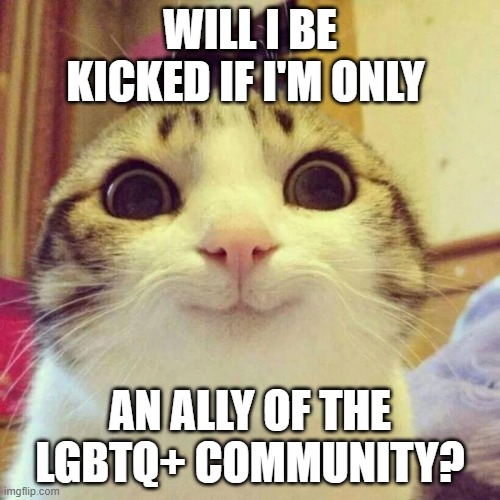will i get kicked | WILL I BE KICKED IF I'M ONLY; AN ALLY OF THE LGBTQ+ COMMUNITY? | image tagged in memes,smiling cat,lgbtq,ally | made w/ Imgflip meme maker