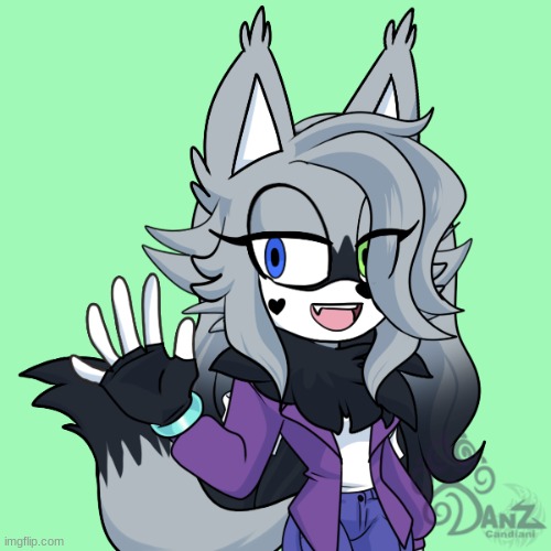 Meet Echo The Husky | image tagged in sonic,sonic oc,picrew,taste the music | made w/ Imgflip meme maker