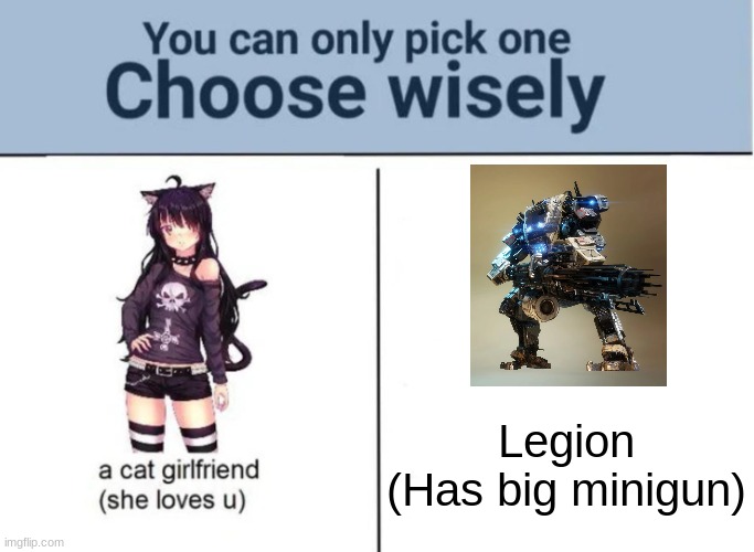 War crimes are included | Legion
(Has big minigun) | image tagged in choose wisely | made w/ Imgflip meme maker