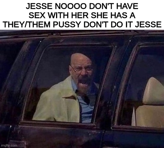 Walter White Screaming At Hank | JESSE NOOOO DON'T HAVE SEX WITH HER SHE HAS A THEY/THEM PUSSY DON'T DO IT JESSE | image tagged in walter white screaming at hank | made w/ Imgflip meme maker