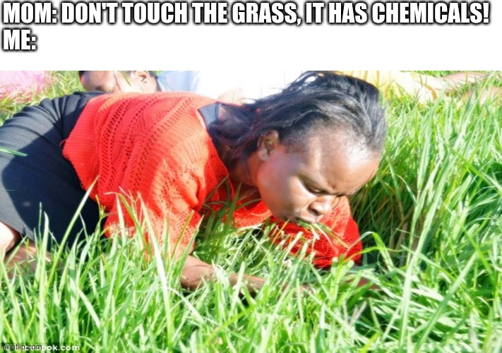 eating grass | MOM: DON'T TOUCH THE GRASS, IT HAS CHEMICALS!
ME: | image tagged in grass,eating,black girl wat,nom nom nom,plants,chemistry | made w/ Imgflip meme maker