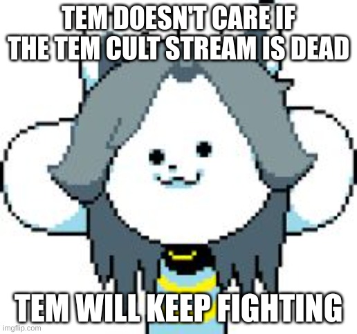 Keep on fighting, soldiers. We have work to do. | TEM DOESN'T CARE IF THE TEM CULT STREAM IS DEAD; TEM WILL KEEP FIGHTING | image tagged in temmie,tem cult | made w/ Imgflip meme maker