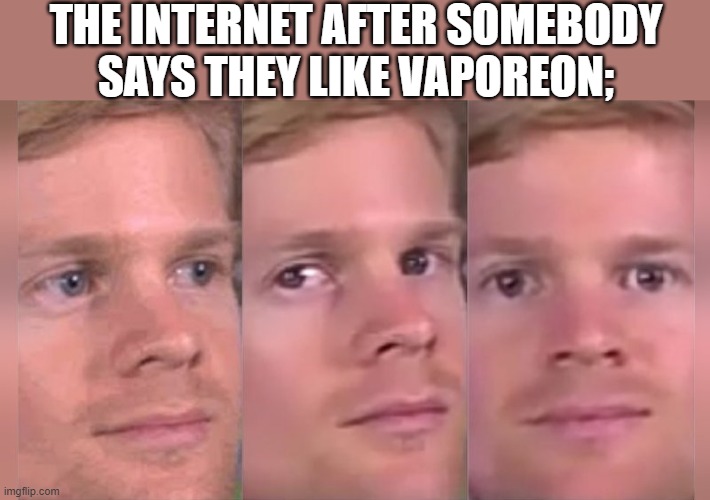 Fourth wall breaking white guy | THE INTERNET AFTER SOMEBODY SAYS THEY LIKE VAPOREON; | image tagged in fourth wall breaking white guy | made w/ Imgflip meme maker
